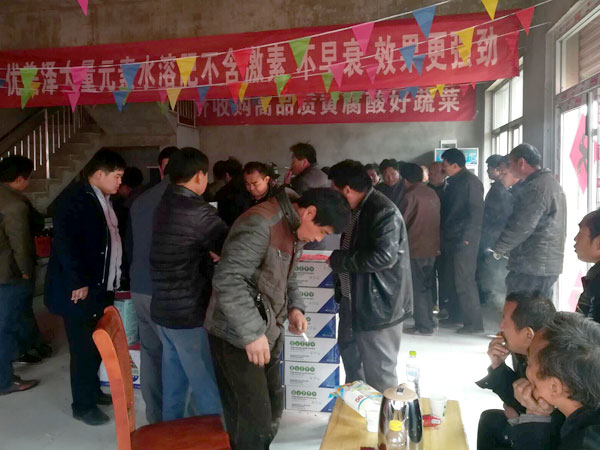 案例展示
